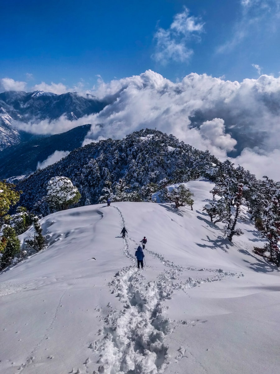 Delhi to Manali taxi